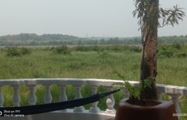 Plot with a house for sale in Moira.