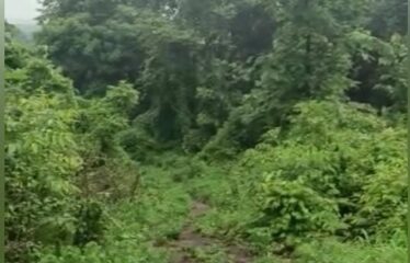 Plot for sale at Maina Curtorim.