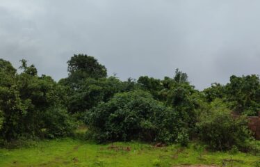 Plot for sale in Dhargel.