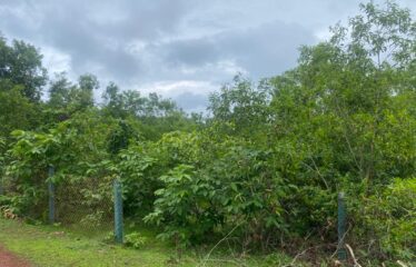 Plot for sale in Bhogwe Beach Maharashtra