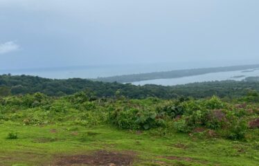 Plot for sale in Bhogwe beach Maharastra.