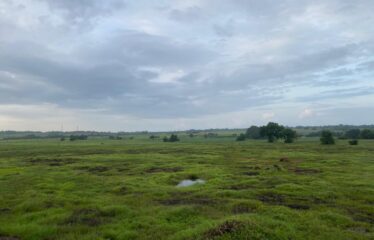 Plot for sale in Bhogwe beach Maharastra.