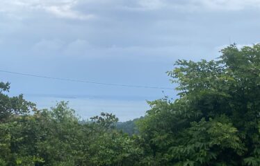 Plot for sale in Bhogwe Beach Maharashtra.