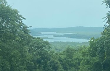 Plot for sale in Corgao.