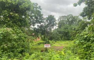 Plot for sale in Dhargel.
