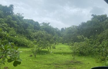 Plot for sale in Dhargel