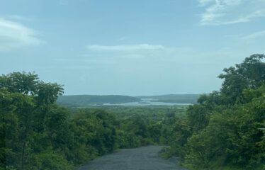 Plot for sale in Corgao.