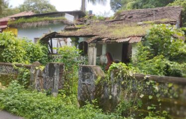 Plot for sale at aldona with old ruin house.