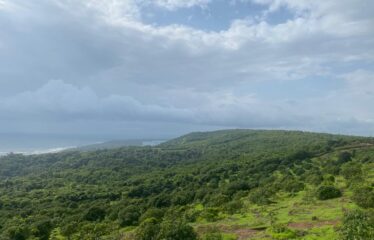 Plot for sale in Bhogwe Beach Maharashtra.