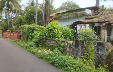 Plot for sale at aldona with old ruin house.