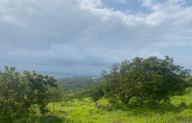 Plot for sale in Bhogwe Beach Maharashtra.