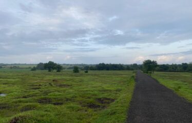 Plot for sale in Bhogwe beach Maharastra.