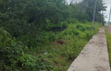 Plot for sale at Vironda.