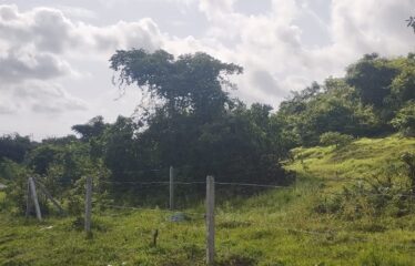 Plot for sale at Dhargel.