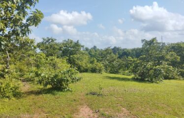 Plot for sale at Ibrampur.