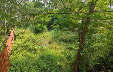 Plot for sale at Calangute.