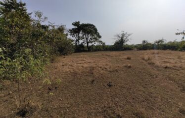 Plot with house for sale at Korgao.