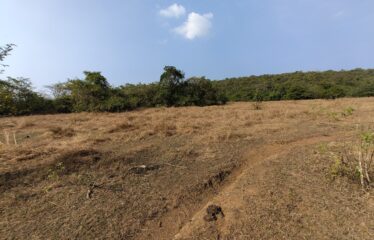 Plot with house for sale at Korgao.