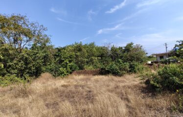 Plot for sale at Pernem.