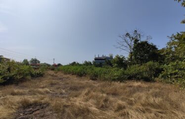 Plot for sale at Pernem.
