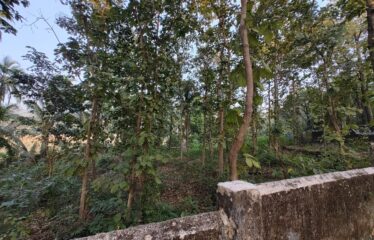 Plot for sale at Tivim.