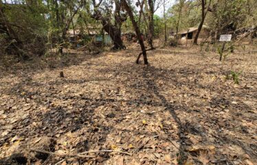 Plot for sale in Agarwaddo.