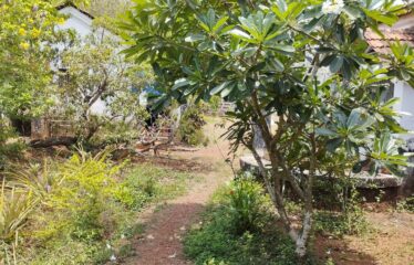 Portuguese house for rent at Parra. (rented out)