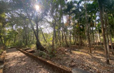 Plot with house for sale at Latambracem Bicholim.