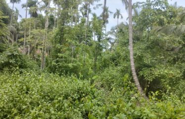 Plot with a house for sale at Sirsaim-Thivim.