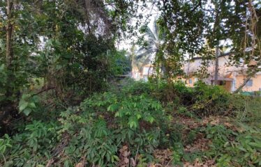 Plot for sale at Parra.