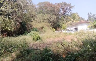 Plot for sale at Acoi.