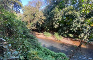 Plot with house for sale at Latambracem Bicholim.