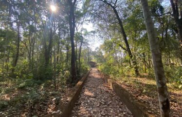 Plot with house for sale at Latambracem Bicholim.