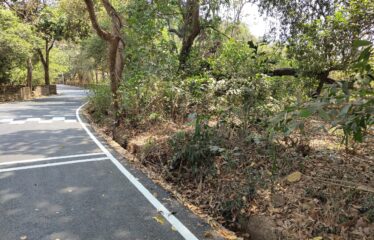 Plot for sale in Revora.