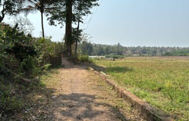 Plot for sale at Aldona.