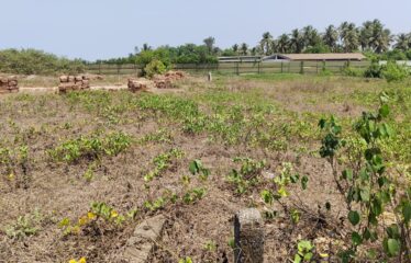 Beach front property for rent in Morjim.