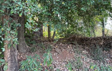 Plot for sale at Aldona.