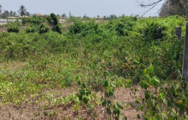 Beach front property for rent in Morjim.