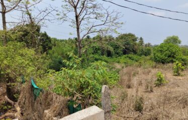 Plot for sale in tivim