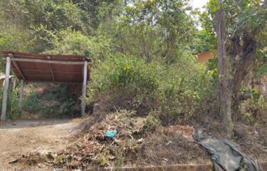 Plot for sale in Succor.