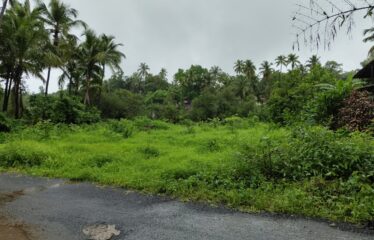 Plot for sale at Aldona.