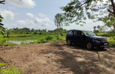 Café for rent in Saligao.