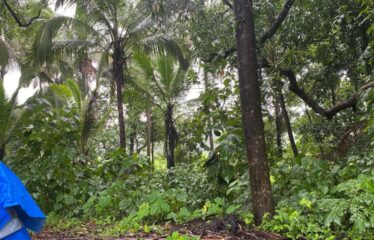 Plot for sale in Tivim.