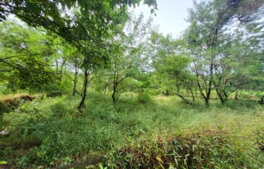 SETTLEMENT LAND FOR SALE AT NACHINOLA