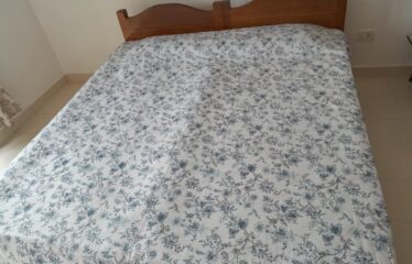 2 BHK FLAT FOR SALE IN CANDOLIM.