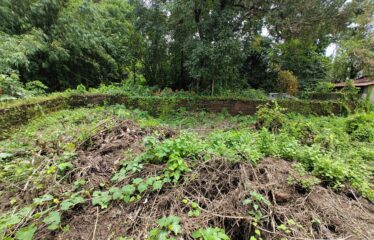 Plot for sale in Verla.