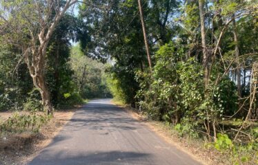 Plot for sale in Siolim Oxel Camurlim Road