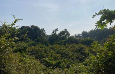 Plot for sale in Sirsai-Tivim