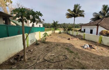 The ground floor of the house for rent in Parra.