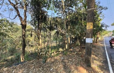 Plot for sale at Marna- Parra.